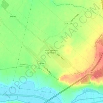 Mapa topográfico Foros de Benfica do Ribatejo, altitud, relieve