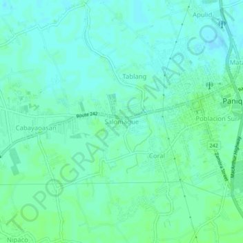 Mapa topográfico Salomague, altitud, relieve