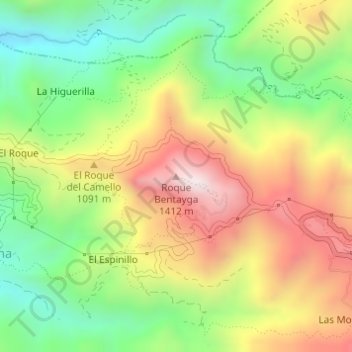 Mapa topográfico Roque Bentayga, altitud, relieve