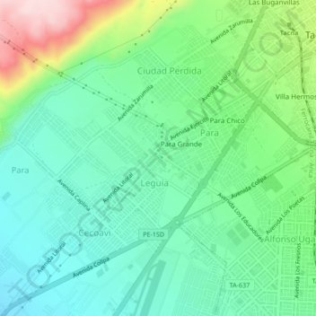 Mapa topográfico Augusto B. Leguia, altitud, relieve