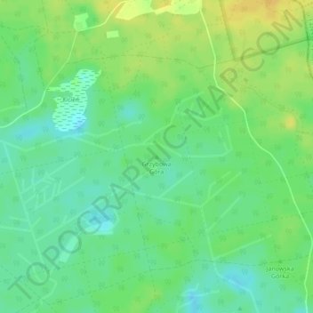 Mapa topográfico Grzybowa Góra, altitud, relieve