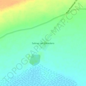 Mapa topográfico Salinas del Bebedero, altitud, relieve