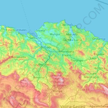 Mapa topográfico Bizkaia, altitud, relieve